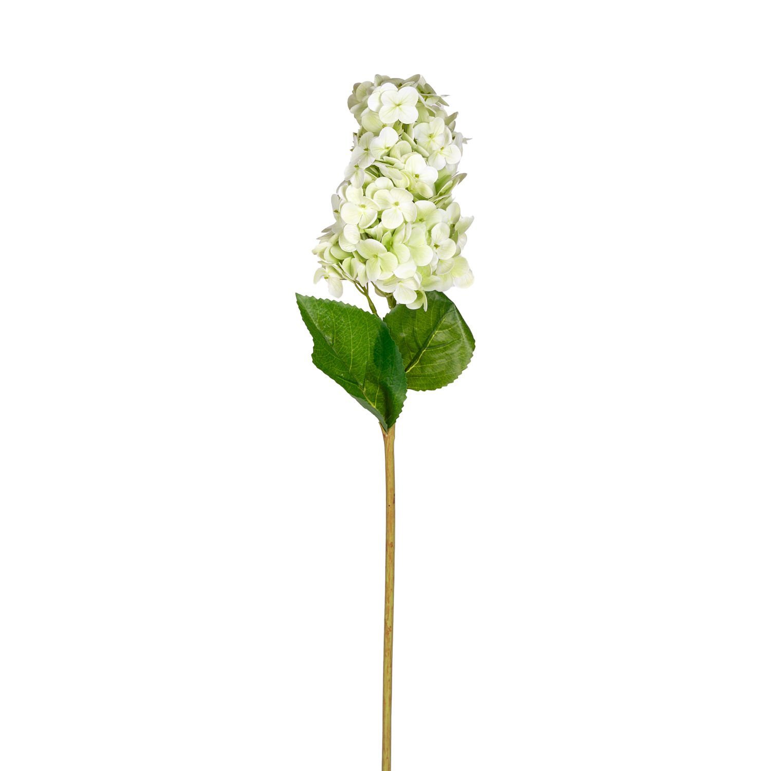 Yapay Ortanca Islak Dokulu Açık Yeşil 70 Cm.