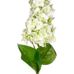 Yapay Ortanca Islak Dokulu Açık Yeşil 70 Cm.