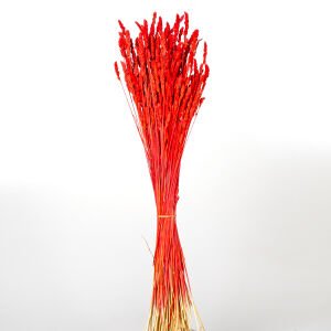 Kuru Bitki Tırtıl Otu Kırmızı 50 Cm.