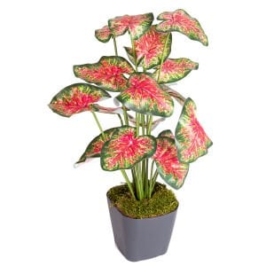 Saksıda Yapay Bitki Caladium-Kaladyum Demet Gerçek Dokulu 18 Yaprak 43 Cm.