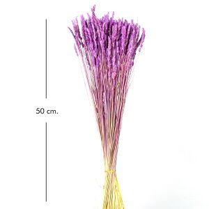Kuru Bitki Tırtıl Otu Lila 50 Cm.