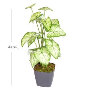 Saksıda Yapay Bitki Syngonium-Melek Kanadı Gerçek Dokulu 18 Yaprak Yeşil-Beyaz 43 Cm.