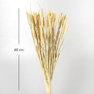 Kuru Bitki Başak Beyaz 60 Cm.