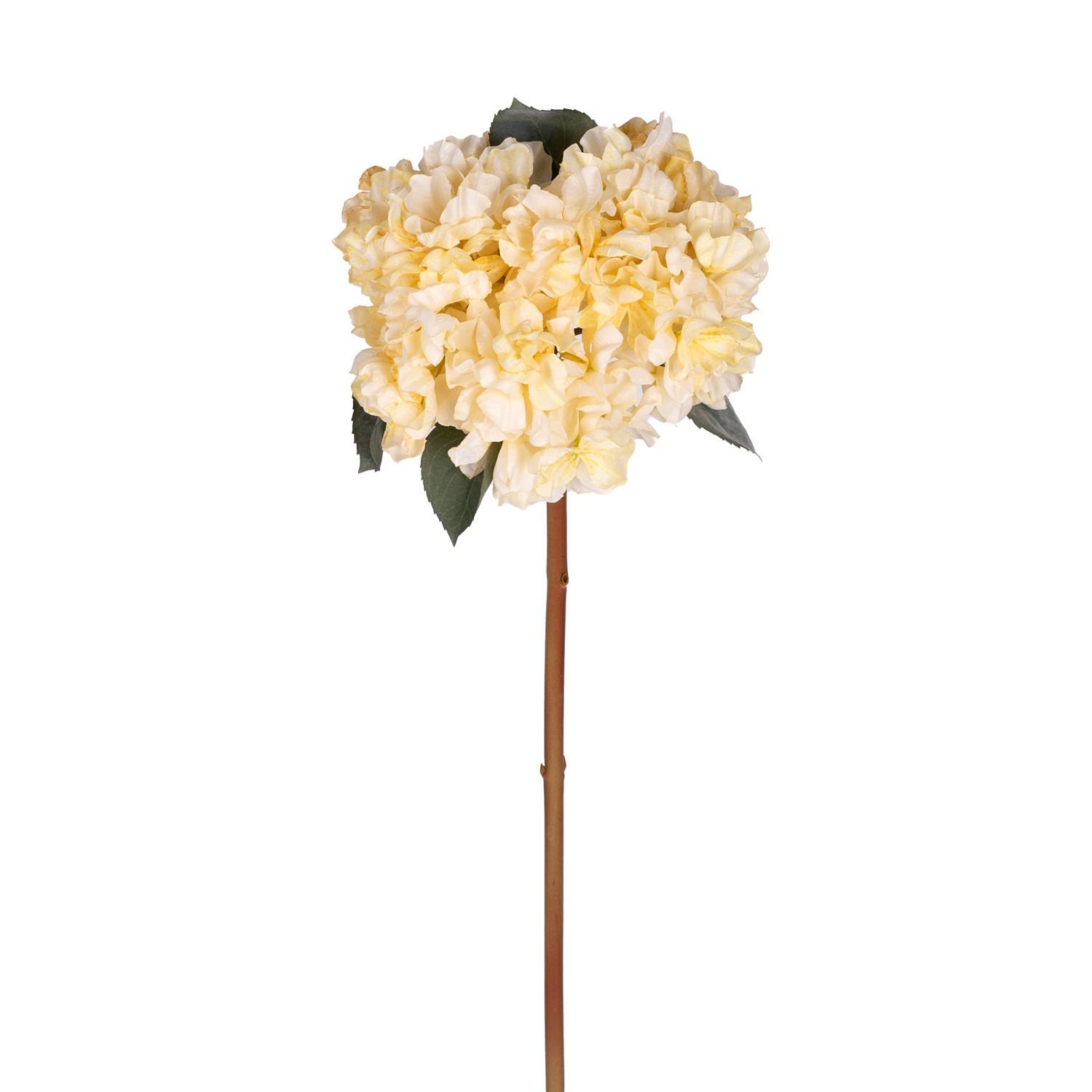 Yapay Ortanca Kurumuş Efektli Sarı 65 Cm.