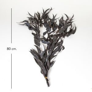 Kuru Bitki Söğüt Okaliptus Siyah 80 Cm.