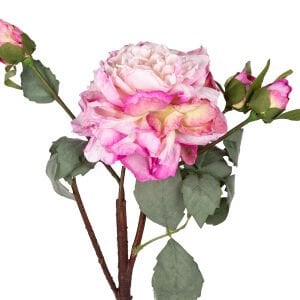 Yapay Çiçek, Şakayık, Kurumuş Efektli, Fuşya - 60 cm