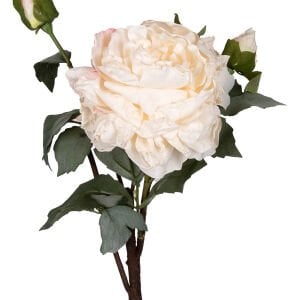 Yapay Çiçek, Şakayık, Kurumuş Efektli, Krem - 60 cm