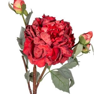 Yapay Çiçek, Şakayık, Kurumuş Efektli, Kırmızı - 60 cm