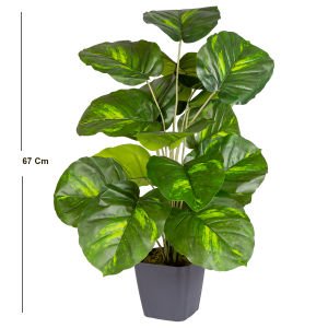Saksıda Yapay Tropik Difenbahya Gerçek Dokulu 18 Yaprak 67 Cm.