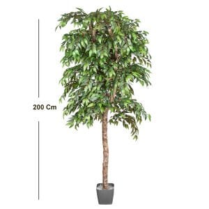 Yapay Smilax Ağacı Tek Gövde Yeşil 200 Cm.