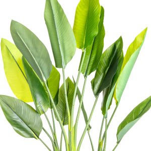Yapay Starliçe Demet Gerçek Dokulu 15 Yaprak Yeşil 63 Cm.