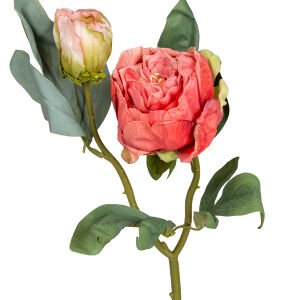 Yapay Çiçek Şakayık Kurumuş Efektli Nar Çiçeği Rengi 50 Cm.