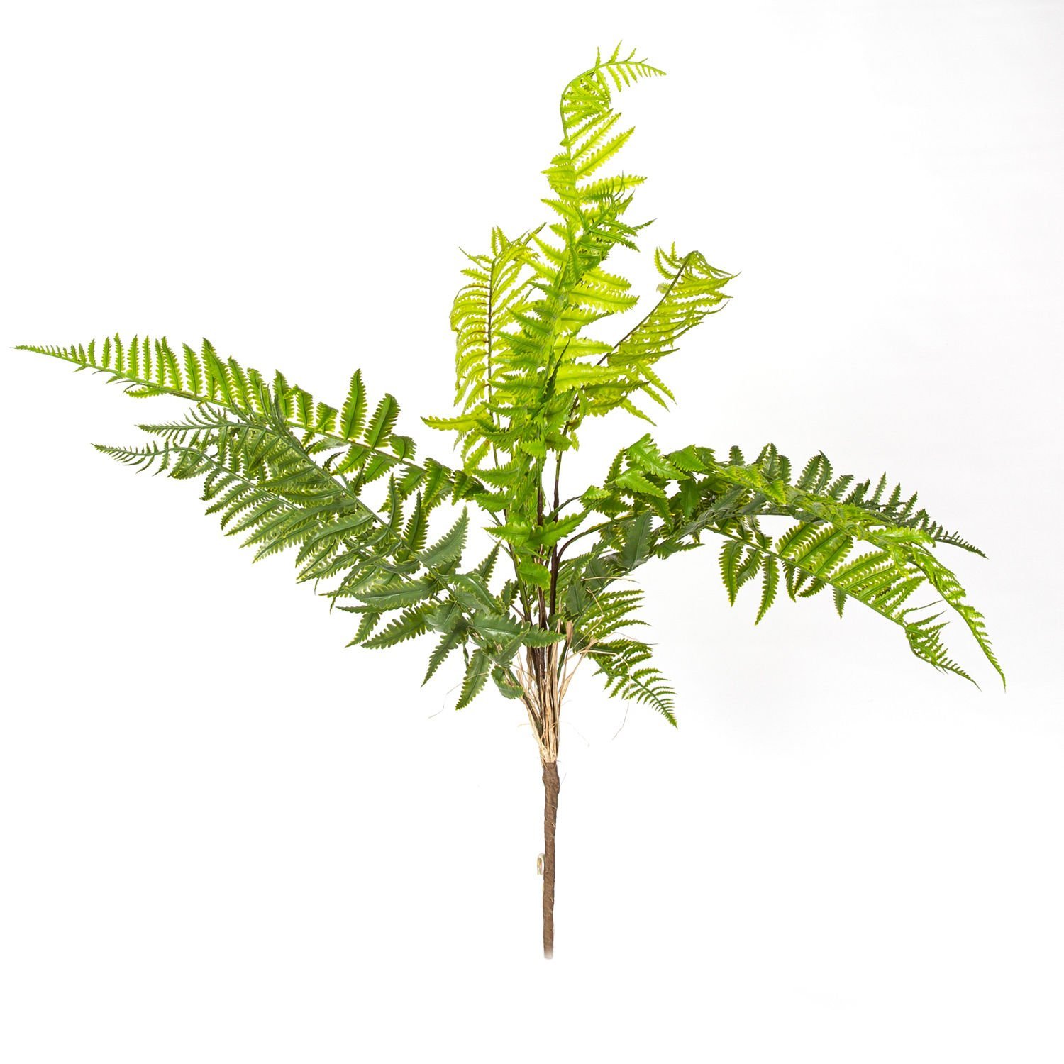 Yapay Bitki Fujer/Eğrelti Otu Yeşil 75 Cm.