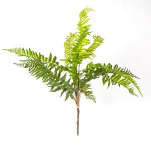 Yapay Bitki Fujer/Eğrelti Otu Yeşil 75 Cm.