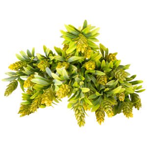 Yapay Çiçekli Bitki, Sarı-Yeşil - 55 cm