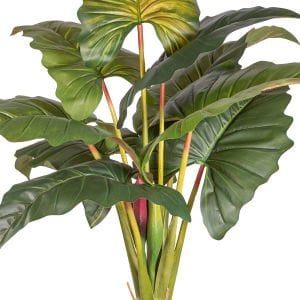 Yapay Alocasia - Fil Kulağı Rainbow(Gökkuşağı) Ağacı 170 Cm