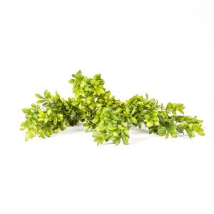 Yapay Bitki Şimşir Yeşil 55 Cm.