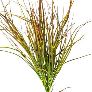 Yapay Saz Demet Parlak Kızıl-Yeşil 55 Cm.